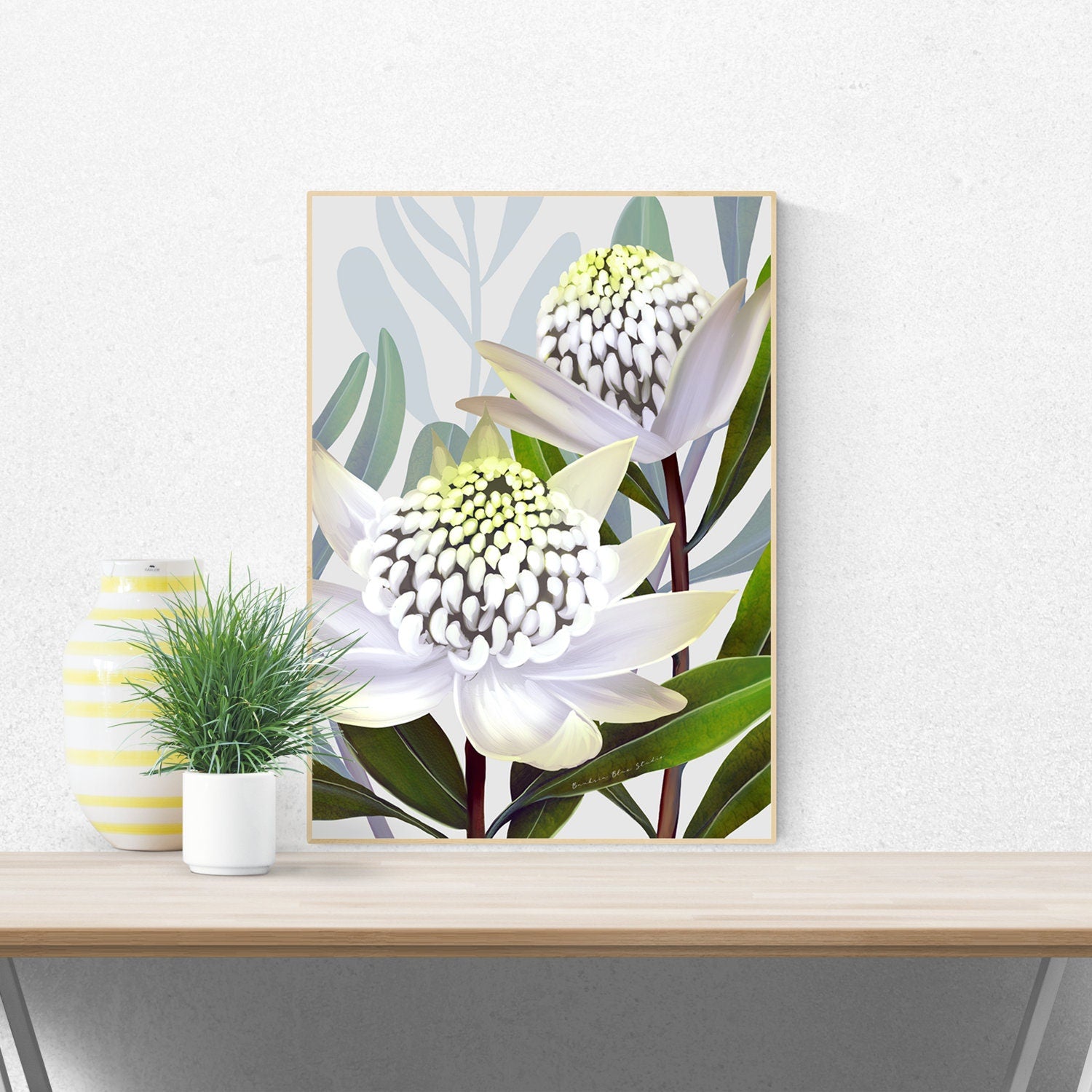 Beacon of the bush - Australian Waratah Botanical Art Print