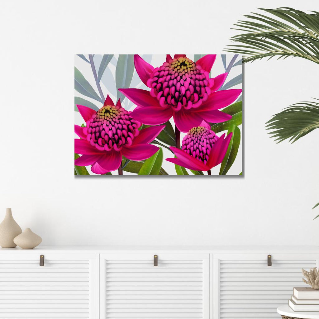 Beacon of the Bush – Pink Waratah Australian Botanical Digital Art Print