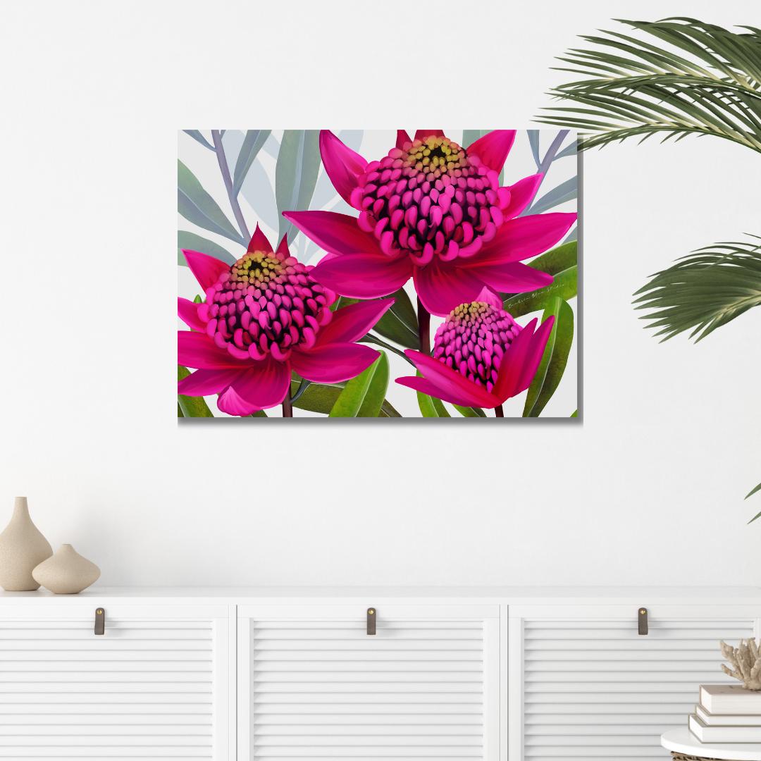 Beacon of the Bush – Pink Waratah Australian Botanical Digital Art Print
