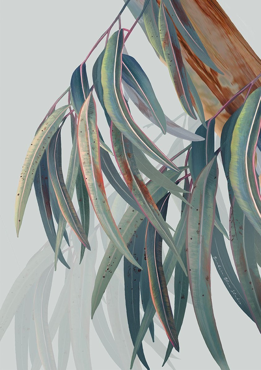 Eucalyptus Trilogy – Set of 3 Australian Botanical Digital Art Prints