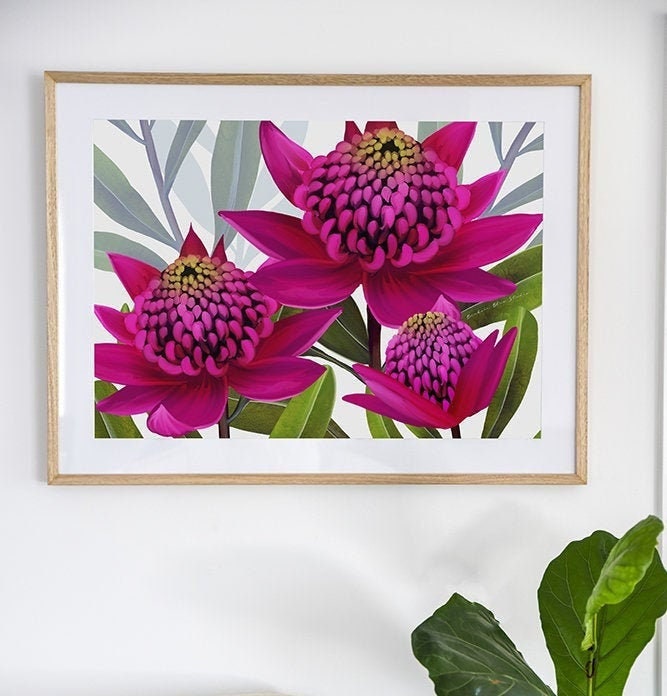 Beacon of the Bush – Pink Waratah Australian Botanical Digital Art Print