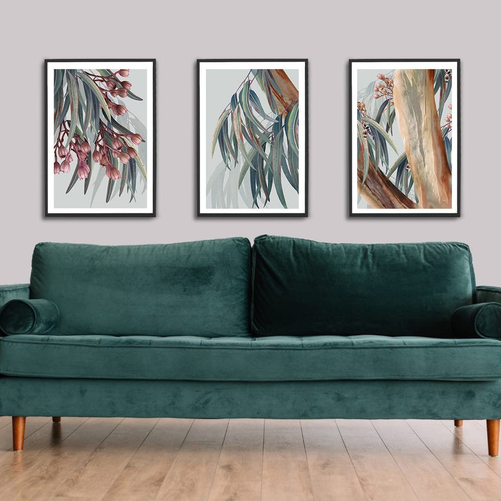 Eucalyptus Trilogy – Set of 3 Australian Botanical Digital Art Prints