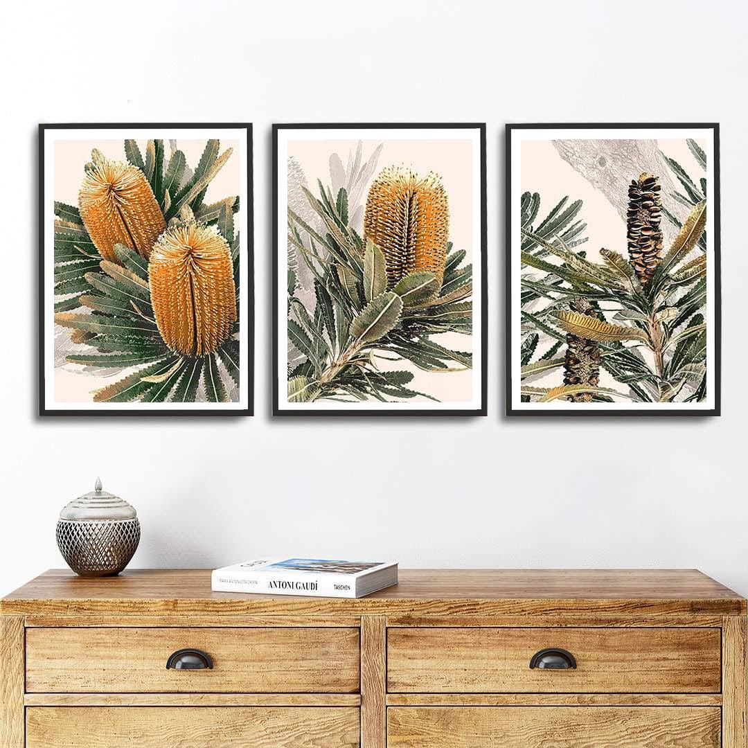 Australian Banksia Botanical Prints – Set of 3 Digital Art Downloads