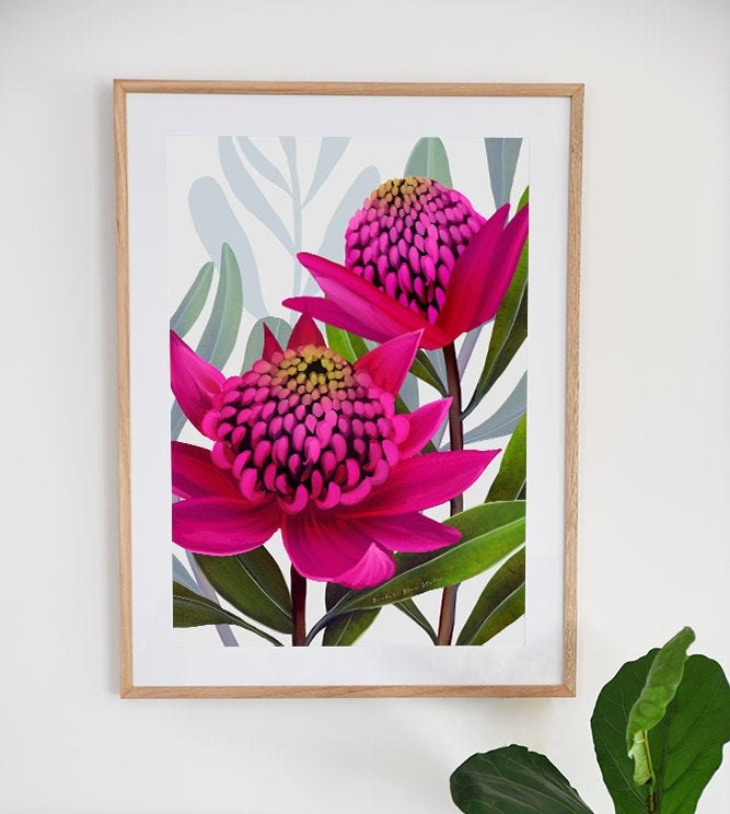 Beacon of the Bush – Pink Waratah Australian Botanical Digital Art Print