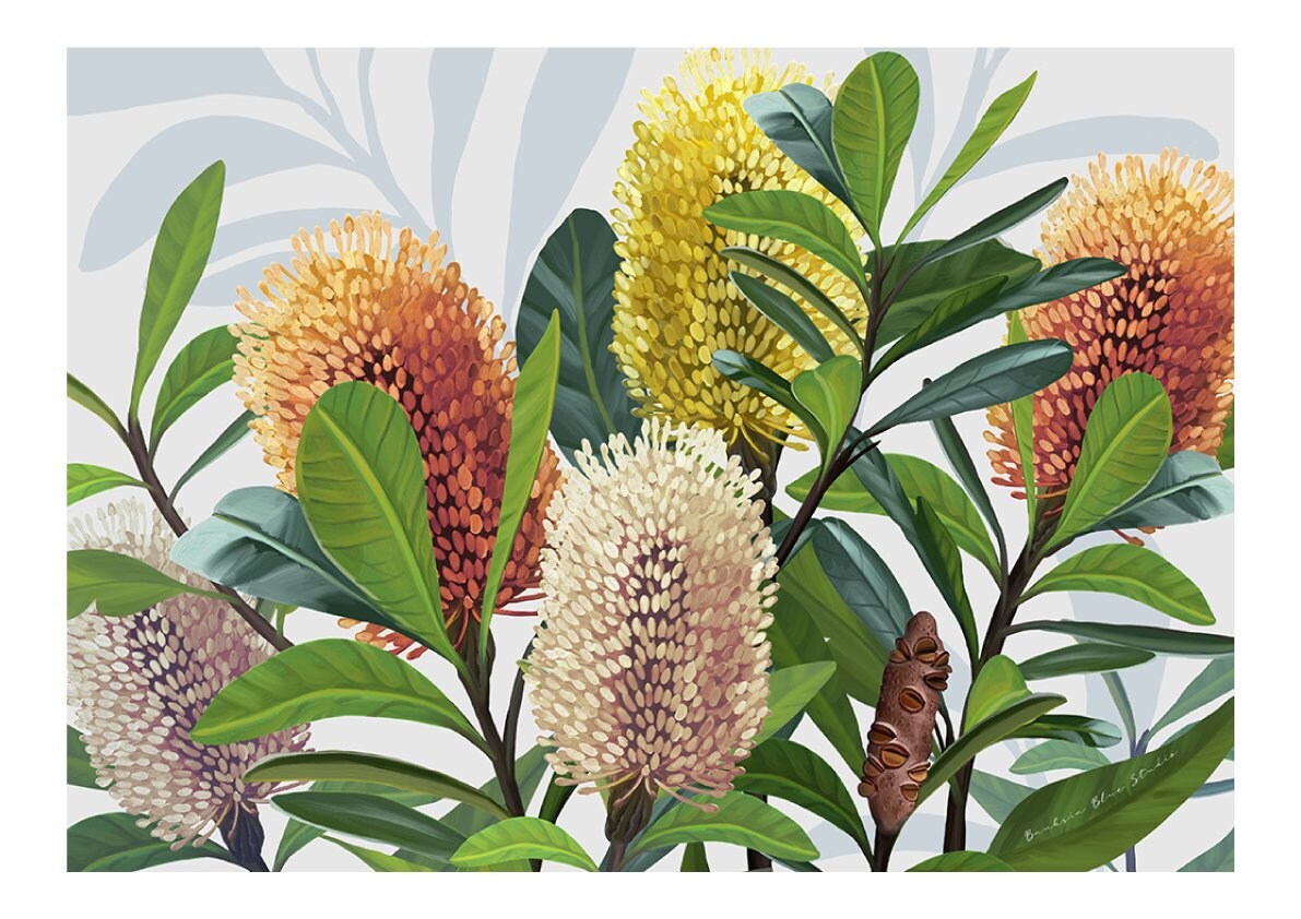 Saltbush – Australian Banksia Landscape Digital Art Print