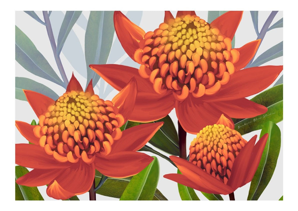 Beacon of the Bush – Tangerine Waratah Landscape Digital Art Print