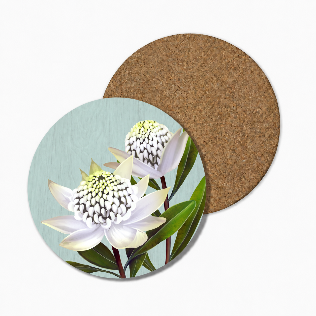 White Waratah Floral Coaster