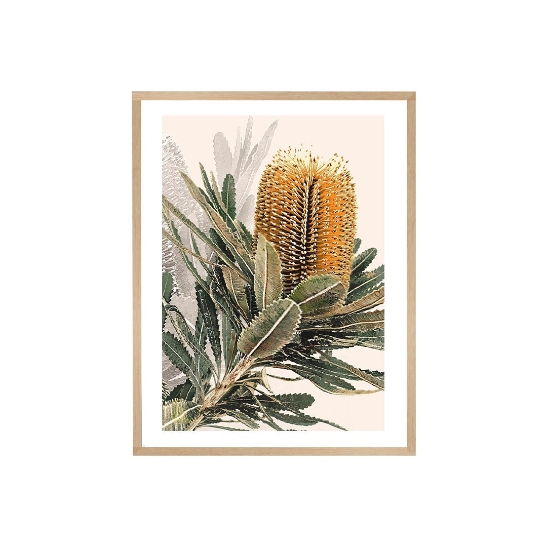 Mirambeena II – Australian Banksia Botanical Digital Art Print
