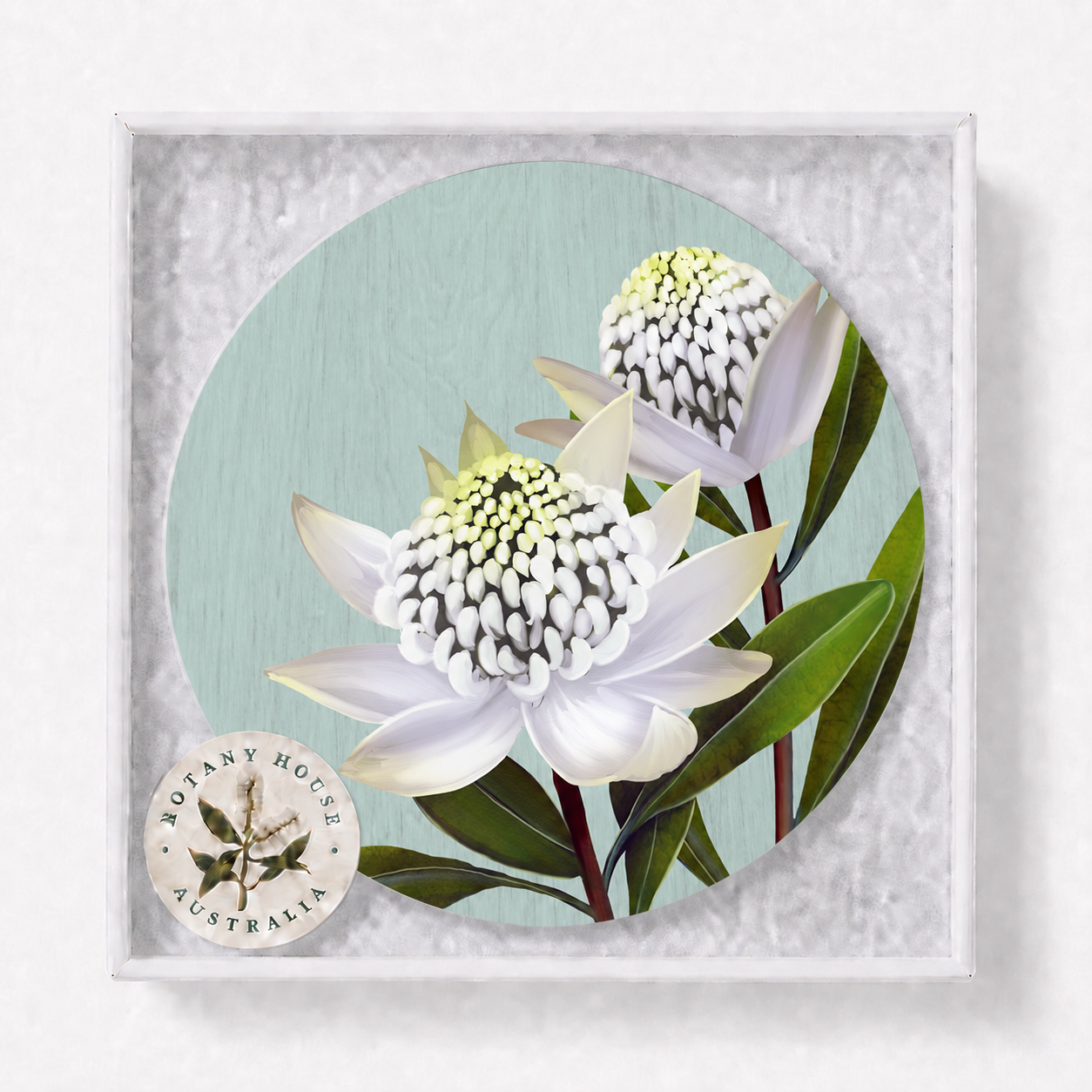 White Waratah Floral Coaster
