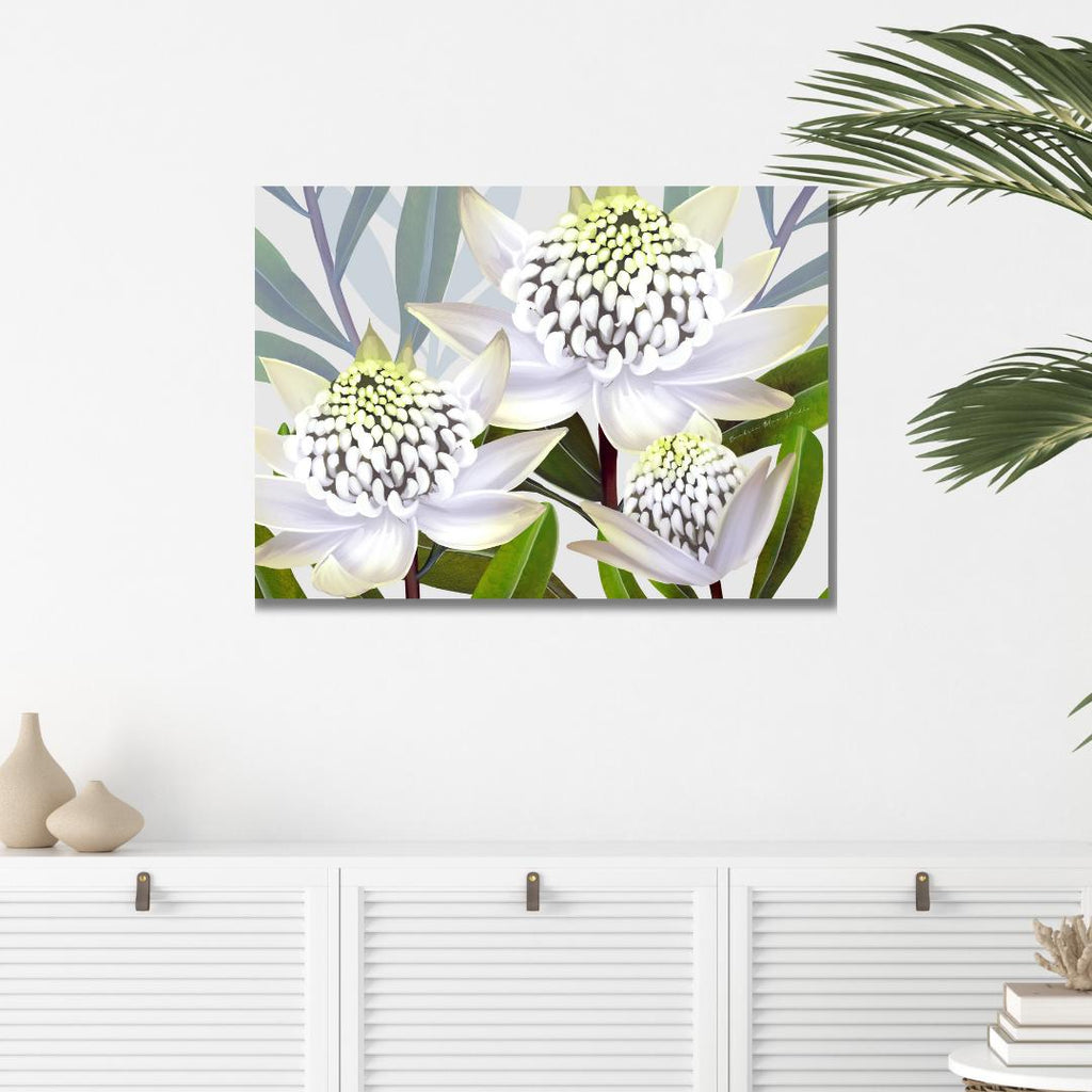 Beacon of the Bush – White Waratah Landscape Digital Art Print