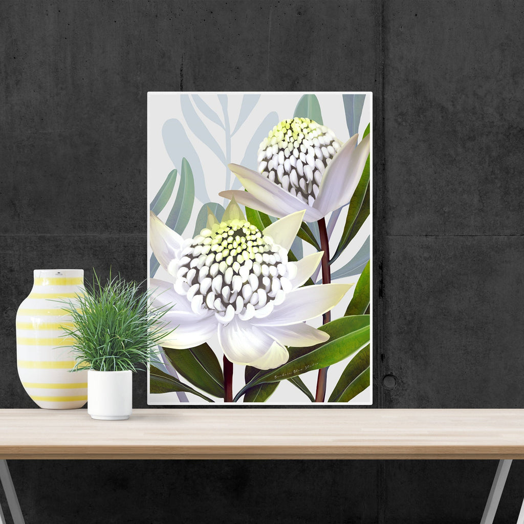 Beacon of the bush - Australian Waratah Botanical Art Print