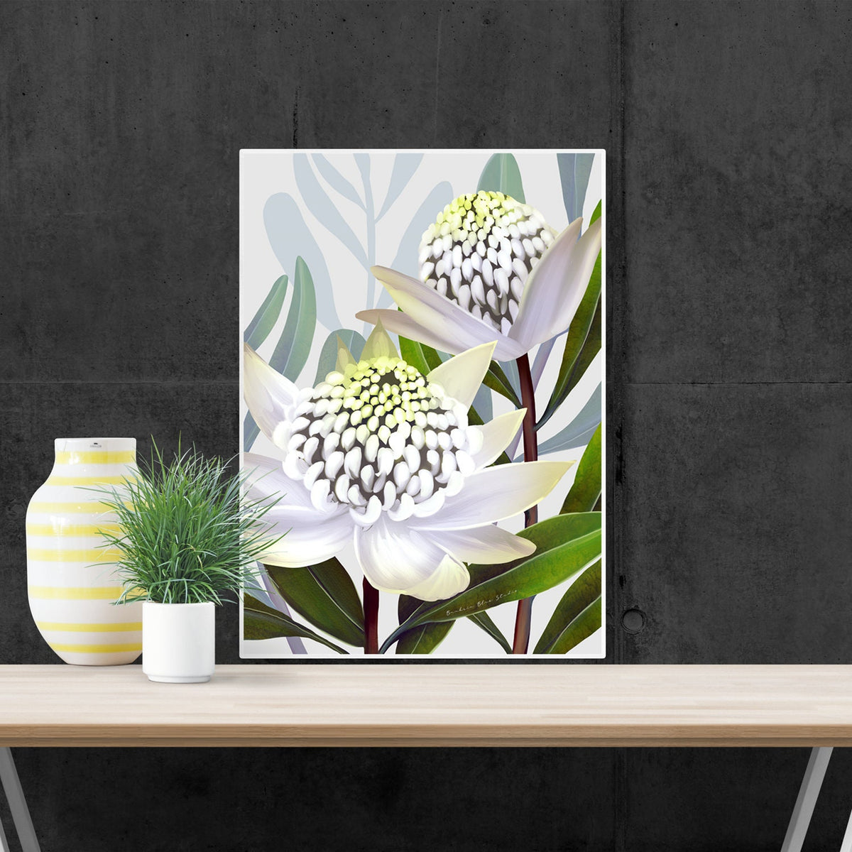Beacon of the bush - Australian Waratah Botanical Art Print