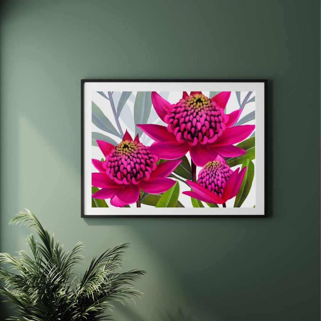 Beacon of the Bush – Pink Waratah Australian Botanical Digital Art Print