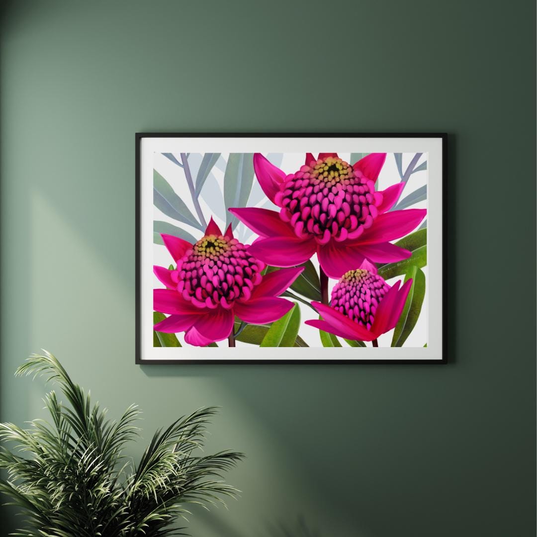 Beacon of the Bush – Pink Waratah Australian Botanical Digital Art Print