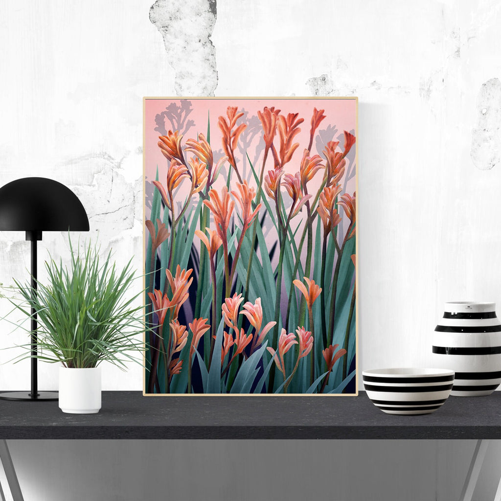 Wild of Spirit – Australian Kangaroo Paw Botanical Digital Art Print