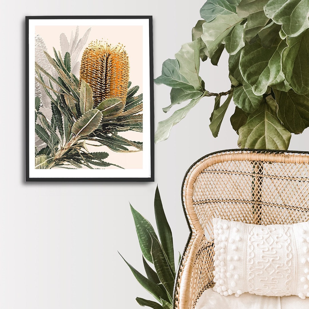 Mirambeena 3 Australian Banksia Botanical Art Print