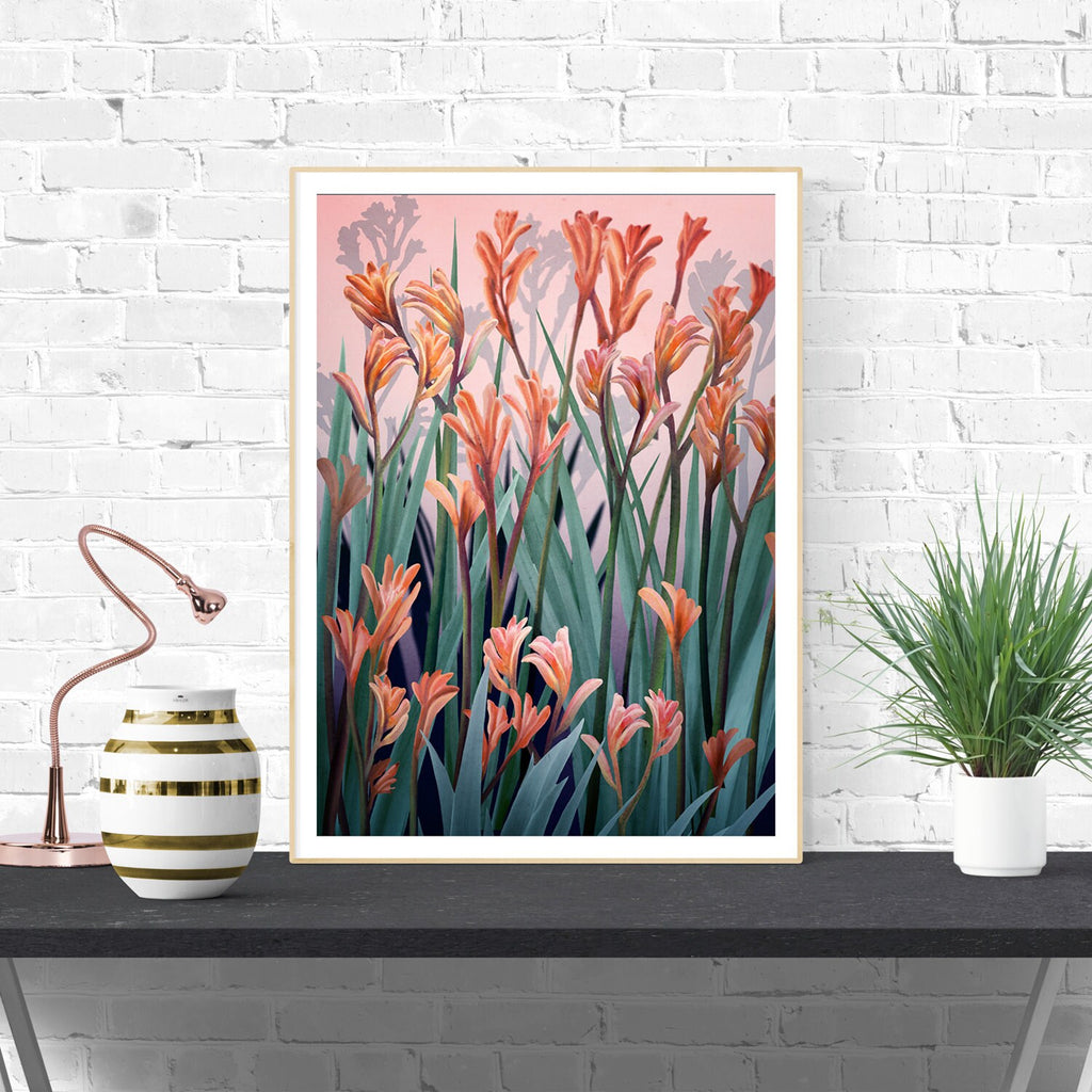 Wild of Spirit – Australian Kangaroo Paw Botanical Digital Art Print