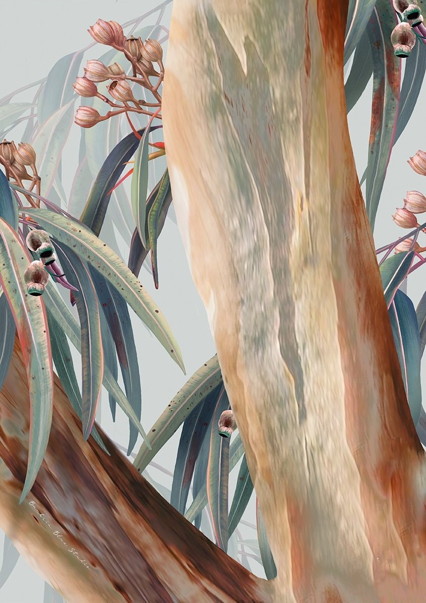 Eucalyptus Trilogy – Set of 3 Australian Botanical Digital Art Prints