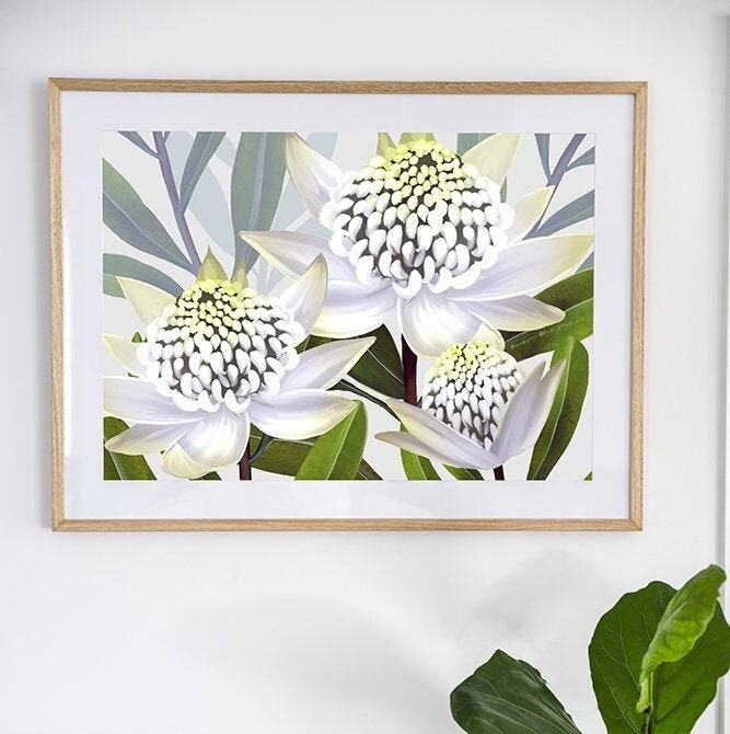 Beacon of the Bush – White Waratah Landscape Digital Art Print