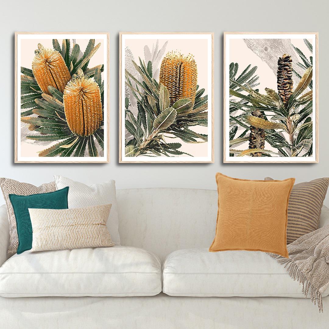 Australian Banksia Botanical Prints – Set of 3 Digital Art Downloads
