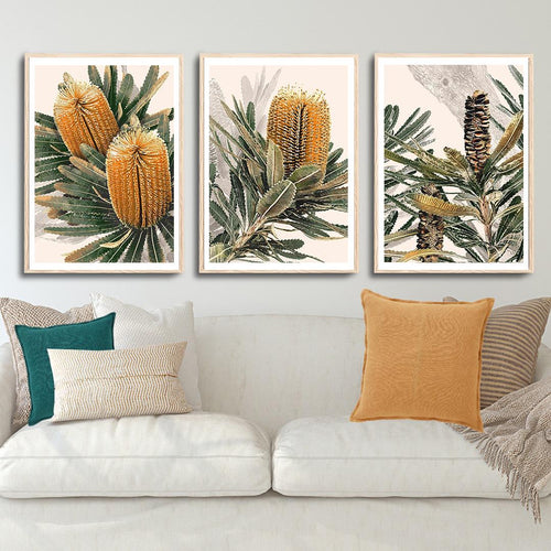 Australian Banksia Botanical Prints – Set of 3 Digital Art Downloads