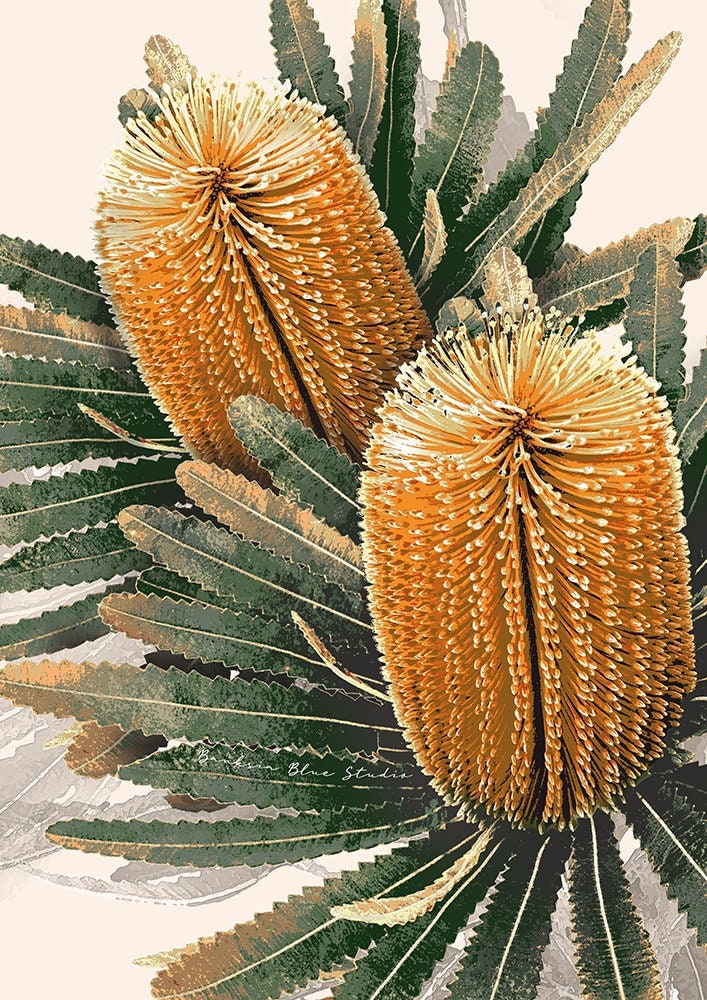 Australian Banksia Botanical Prints – Set of 3 Digital Art Downloads