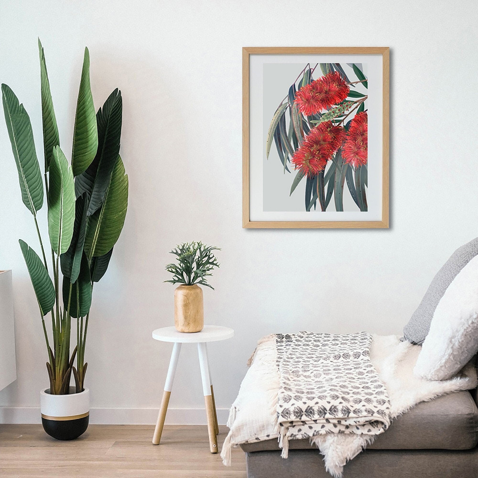 Carinya – Red Flowering Gum Australian Botanical Digital Print
