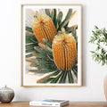 Golden Banksia – Australian Botanical Digital Art Print