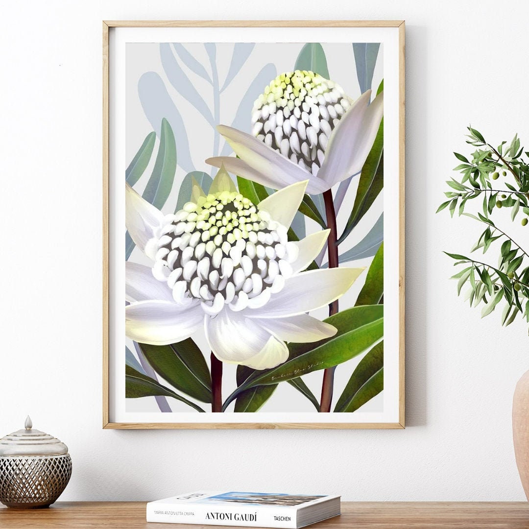 Beacon of the bush - Australian Waratah Botanical Art Print