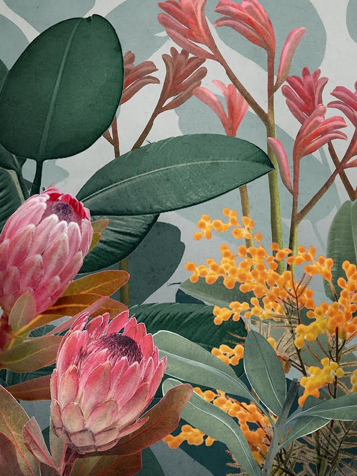 Bundaleer Bush Garden – Protea & Wattle Botanical Portrait Digital Art Print