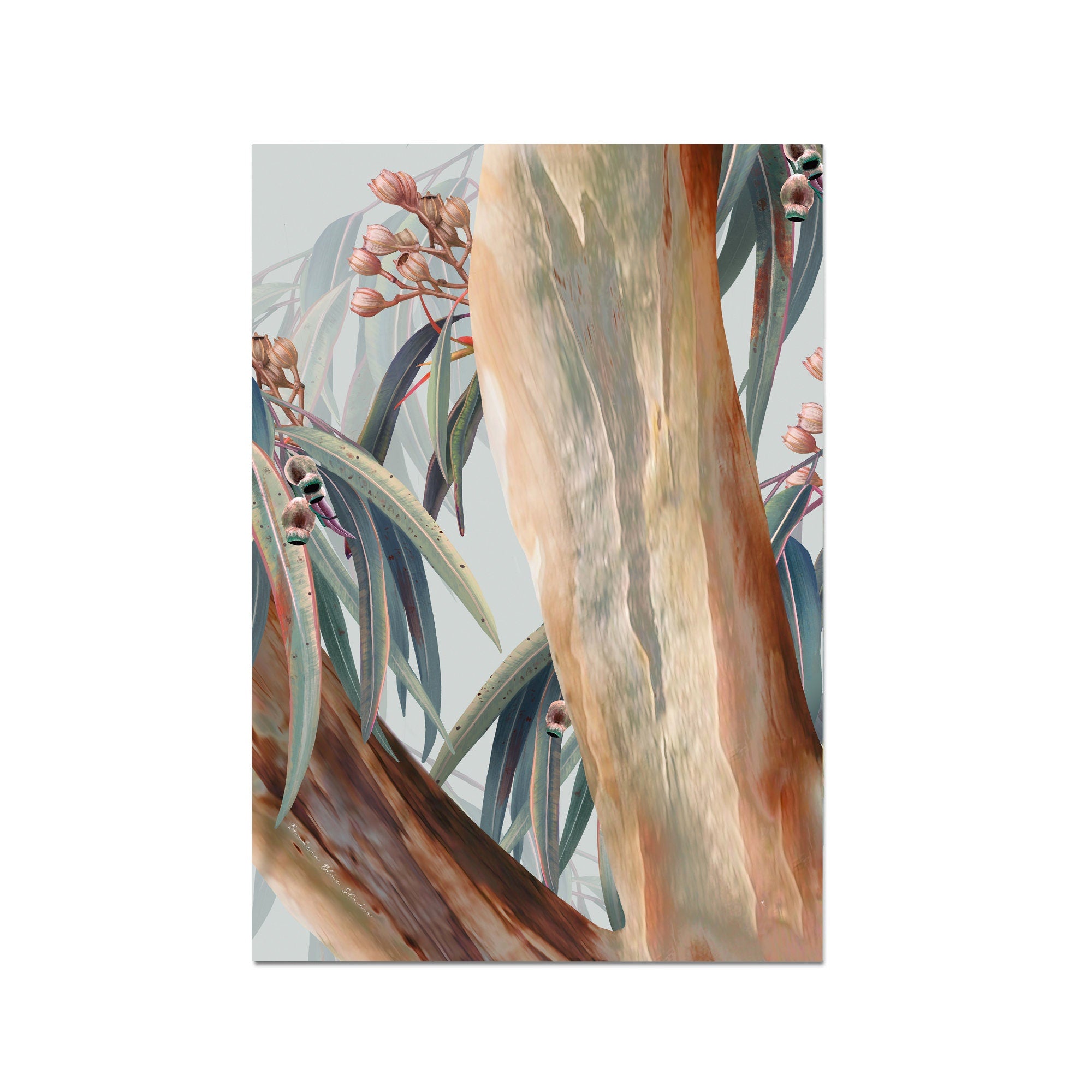 Painted Eucalyptus – Australian Gum Tree Botanical Digital Art Print
