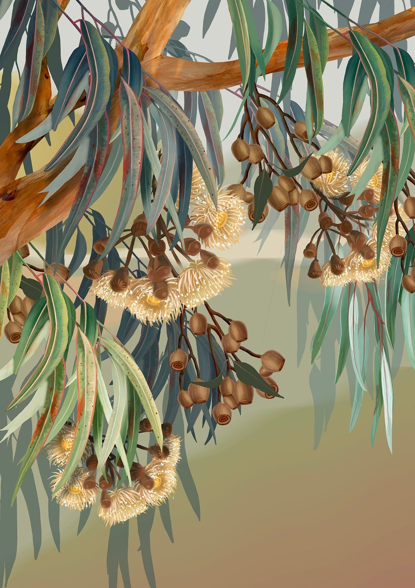 Yallaroo Eucalyptus Native Flower Digital Art Prints