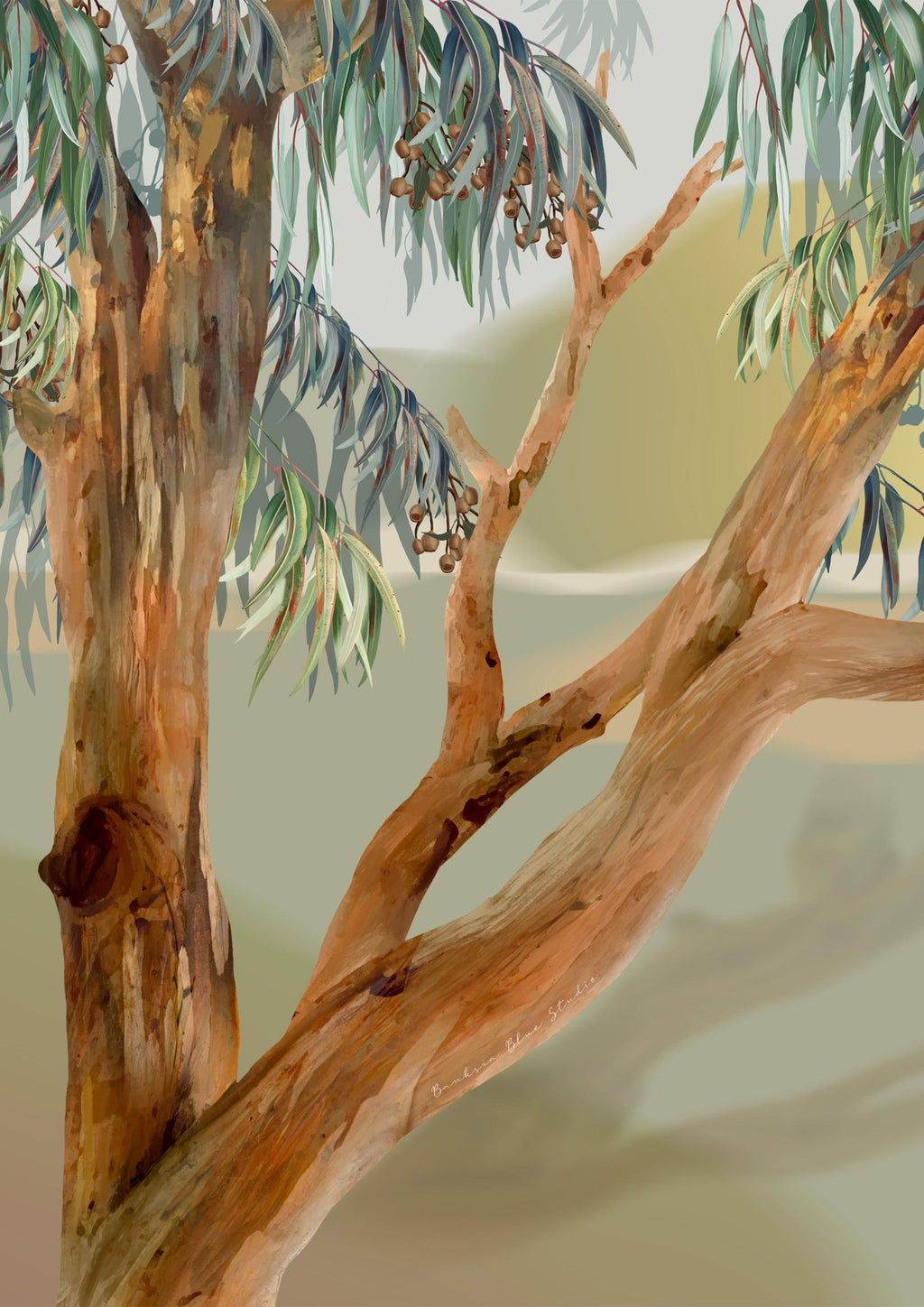 Eucalyptus Dreaming– Set of 2 Australian Botanical Digital Art Prints