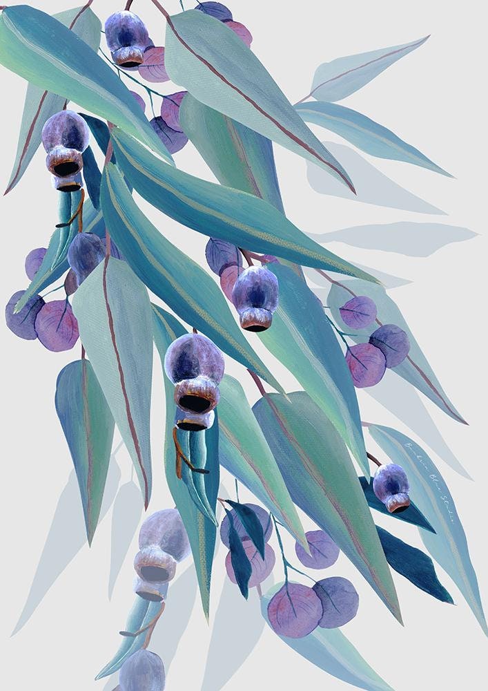 Jarrah Dreaming Australian Gum Tree Botanical Art Print