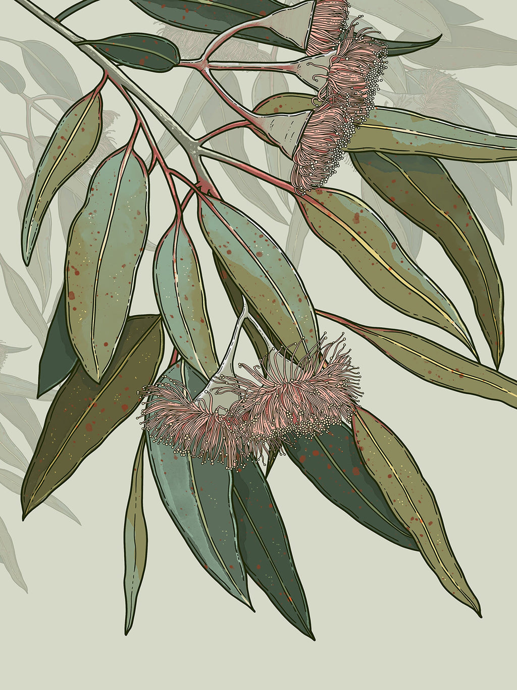 Kooyong – Australian Eucalyptus Blossom Botanical Digital Art Print