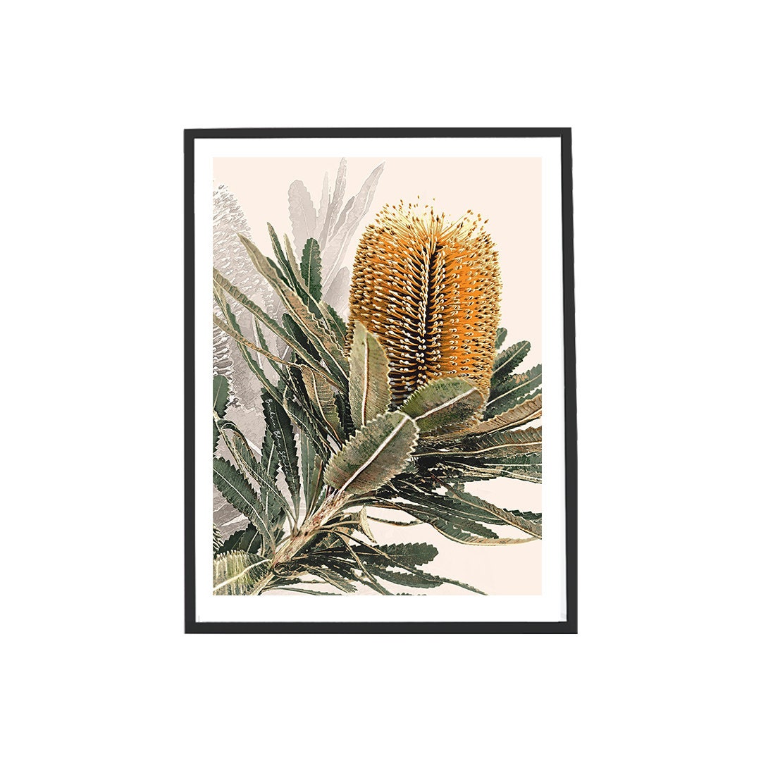 Mirambeena II – Australian Banksia Botanical Digital Art Print