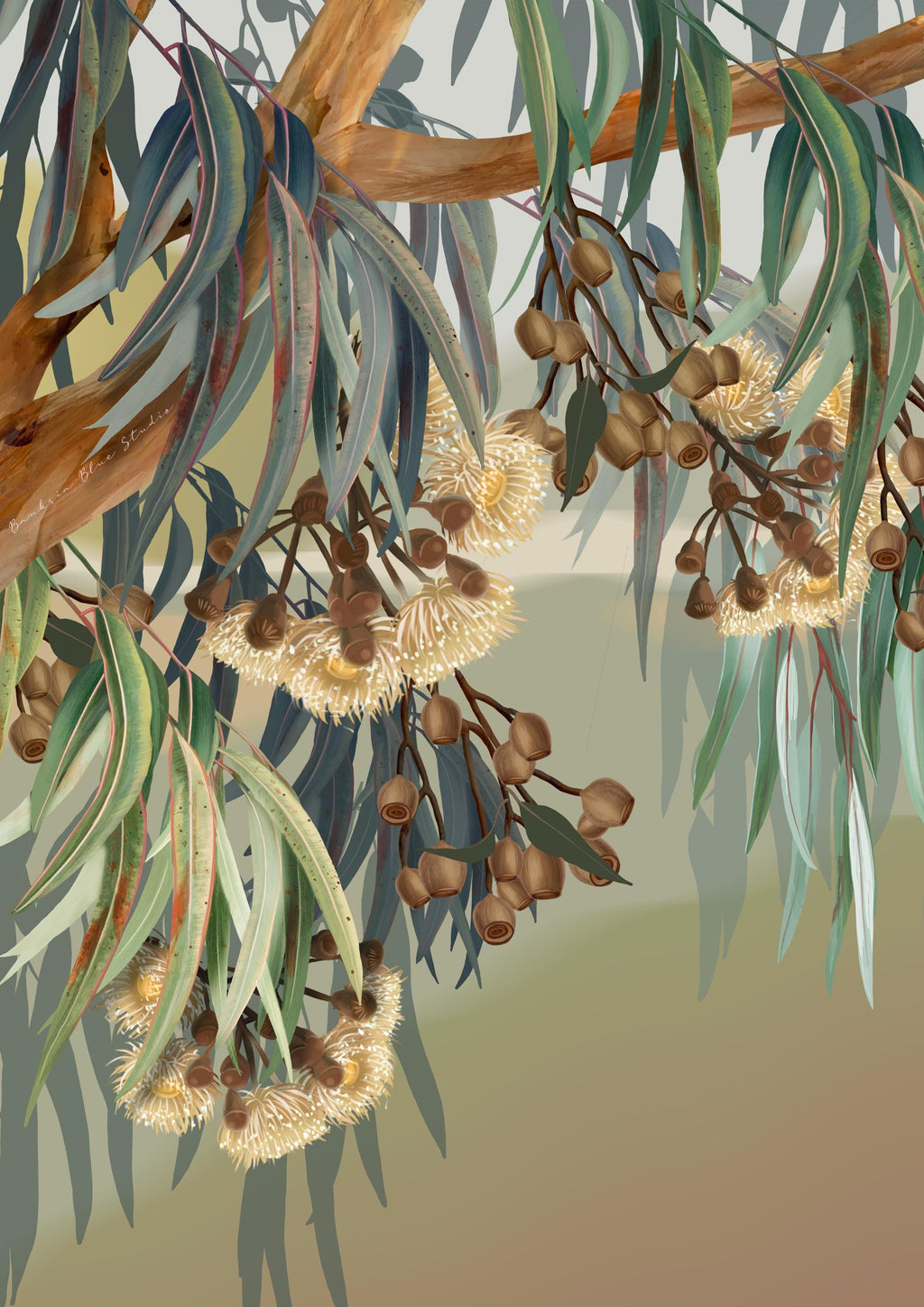Eucalyptus Dreaming– Set of 2 Australian Botanical Digital Art Prints