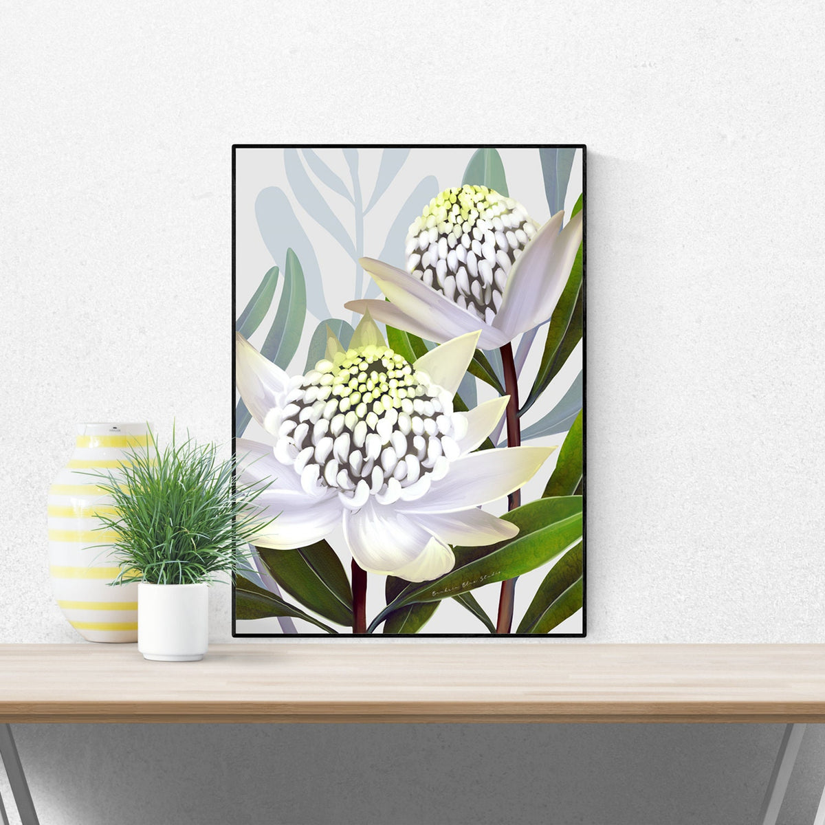 Beacon of the bush - Australian Waratah Botanical Art Print