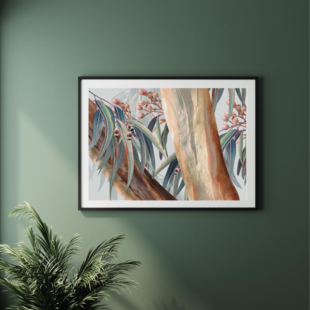 Boroondara Eucalyptus – Australian Gum Tree Botanical Art Print