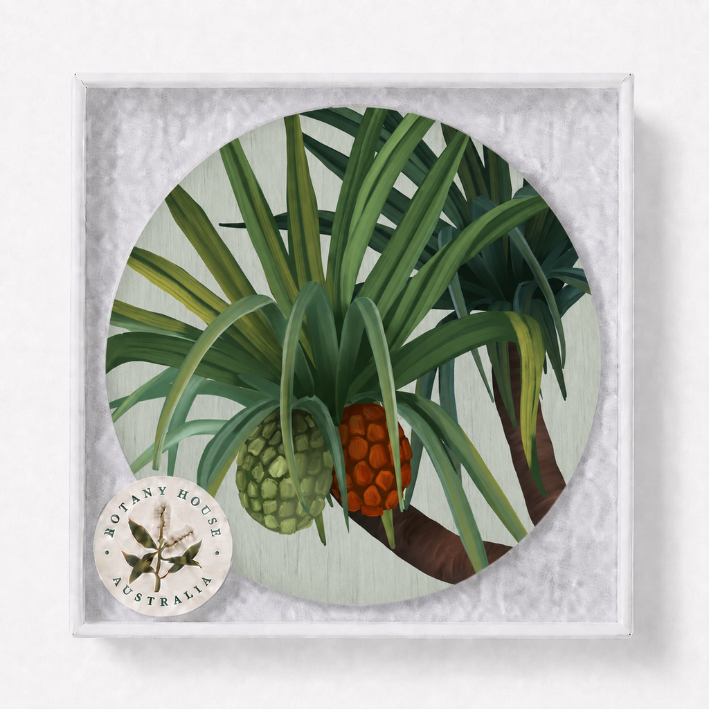 Pandanus Australian Tropical Coaster