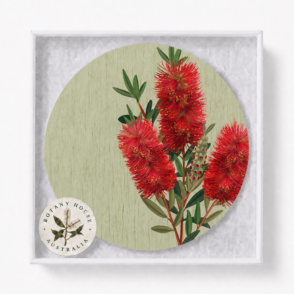 Bottlebrush Bloom Australian Floral Coaster