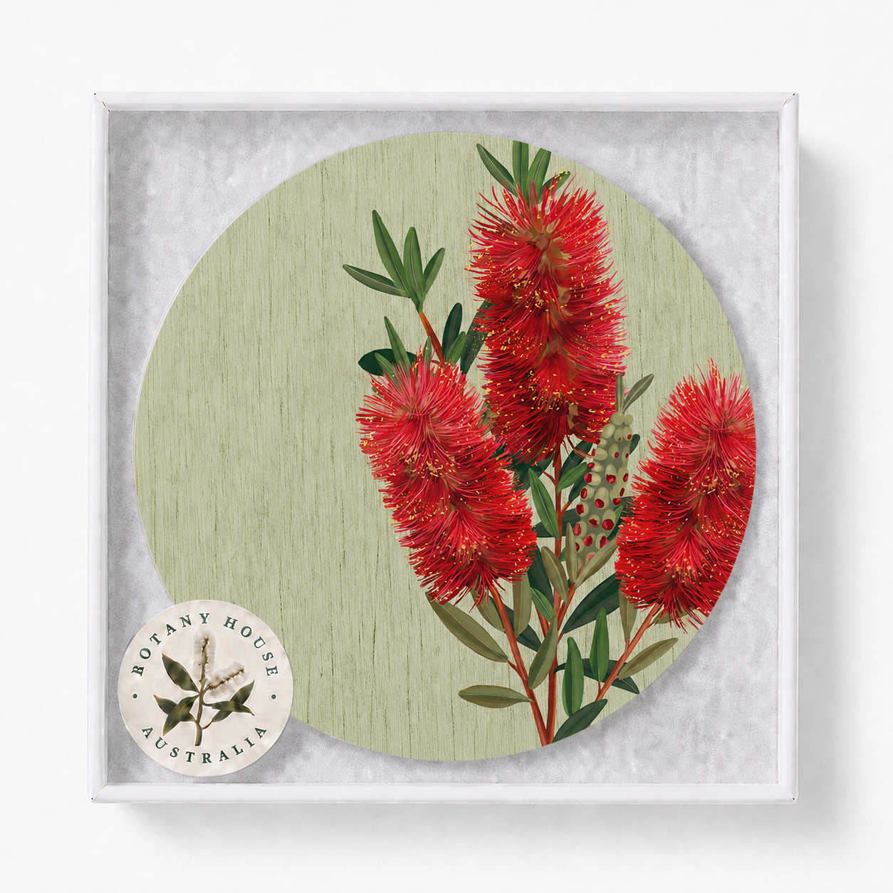 Bottlebrush Bloom Australian Floral Coaster