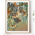 Yallaroo Eucalyptus Native Flower Digital Art Prints
