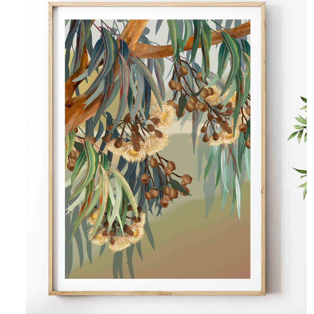 Yallaroo Eucalyptus Native Flower Digital Art Prints