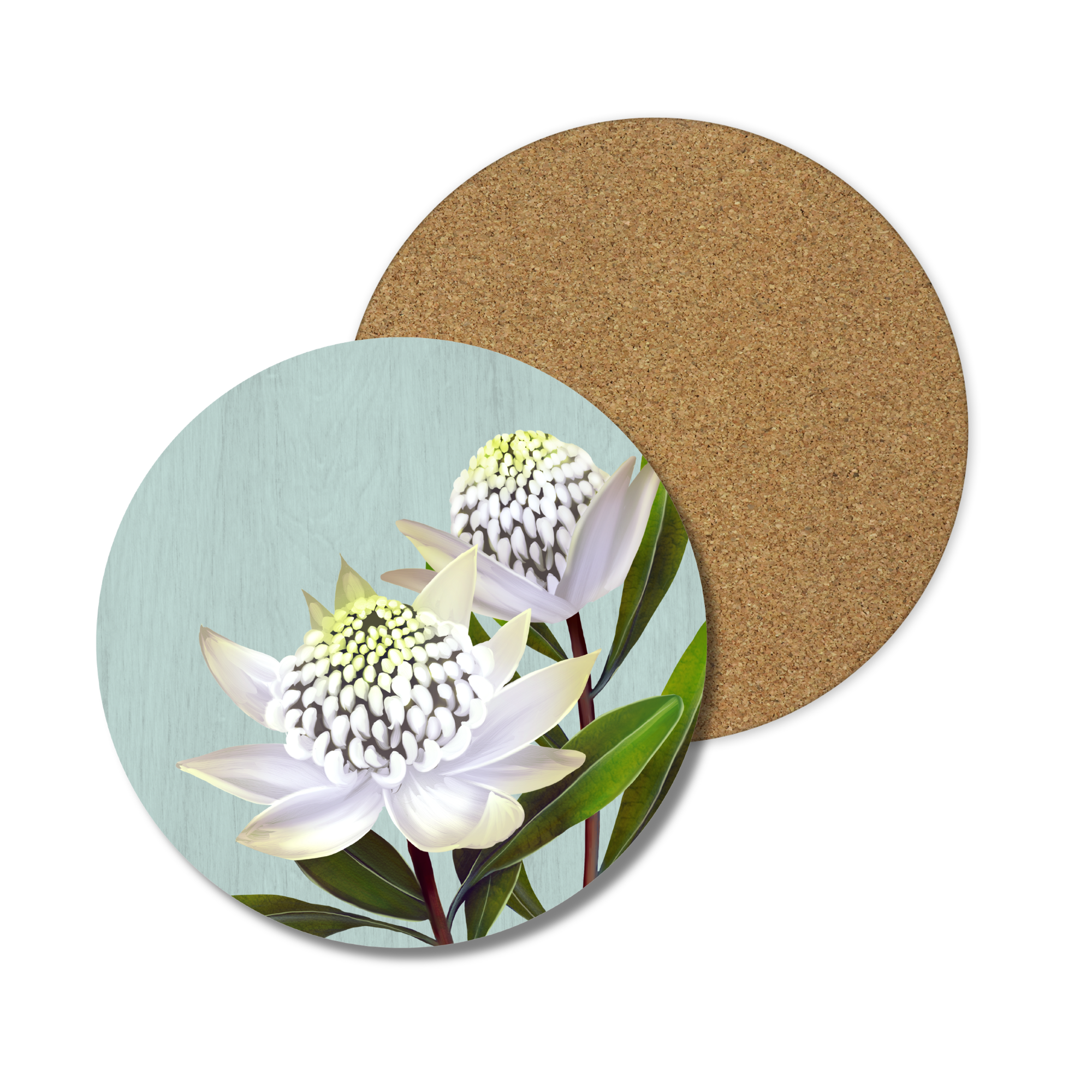 White Waratah Australian Native Round Placemats – Set of 4,6 or 8
