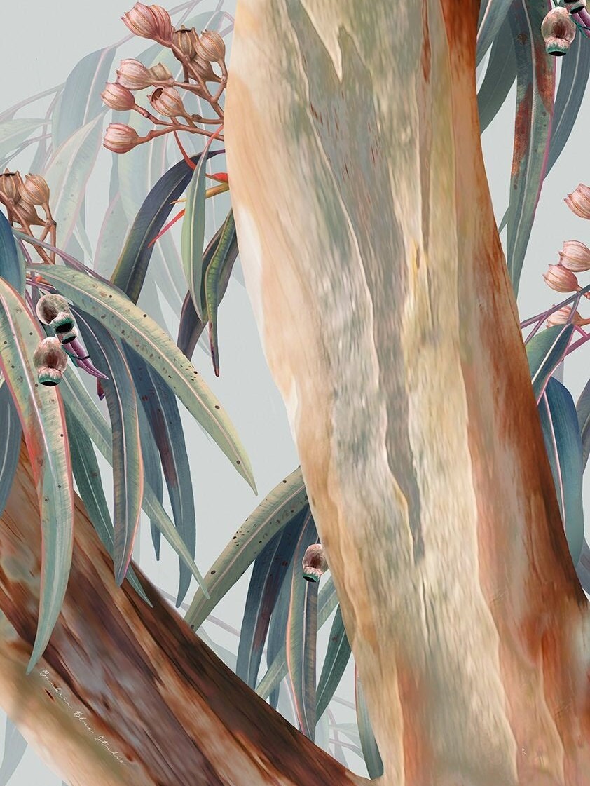 Painted Eucalyptus – Australian Gum Tree Botanical Digital Art Print