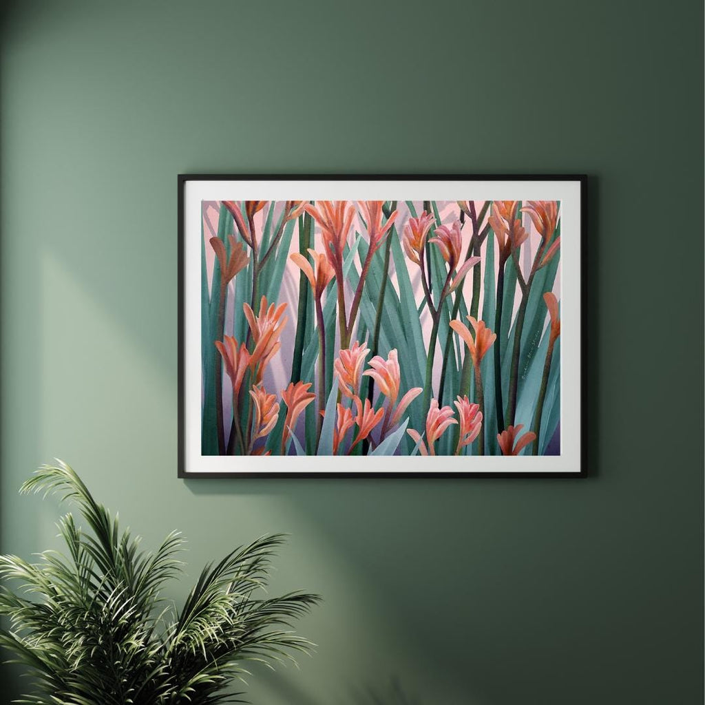Blushing Kangaroo Paw – Australian Native Botanical Art Print