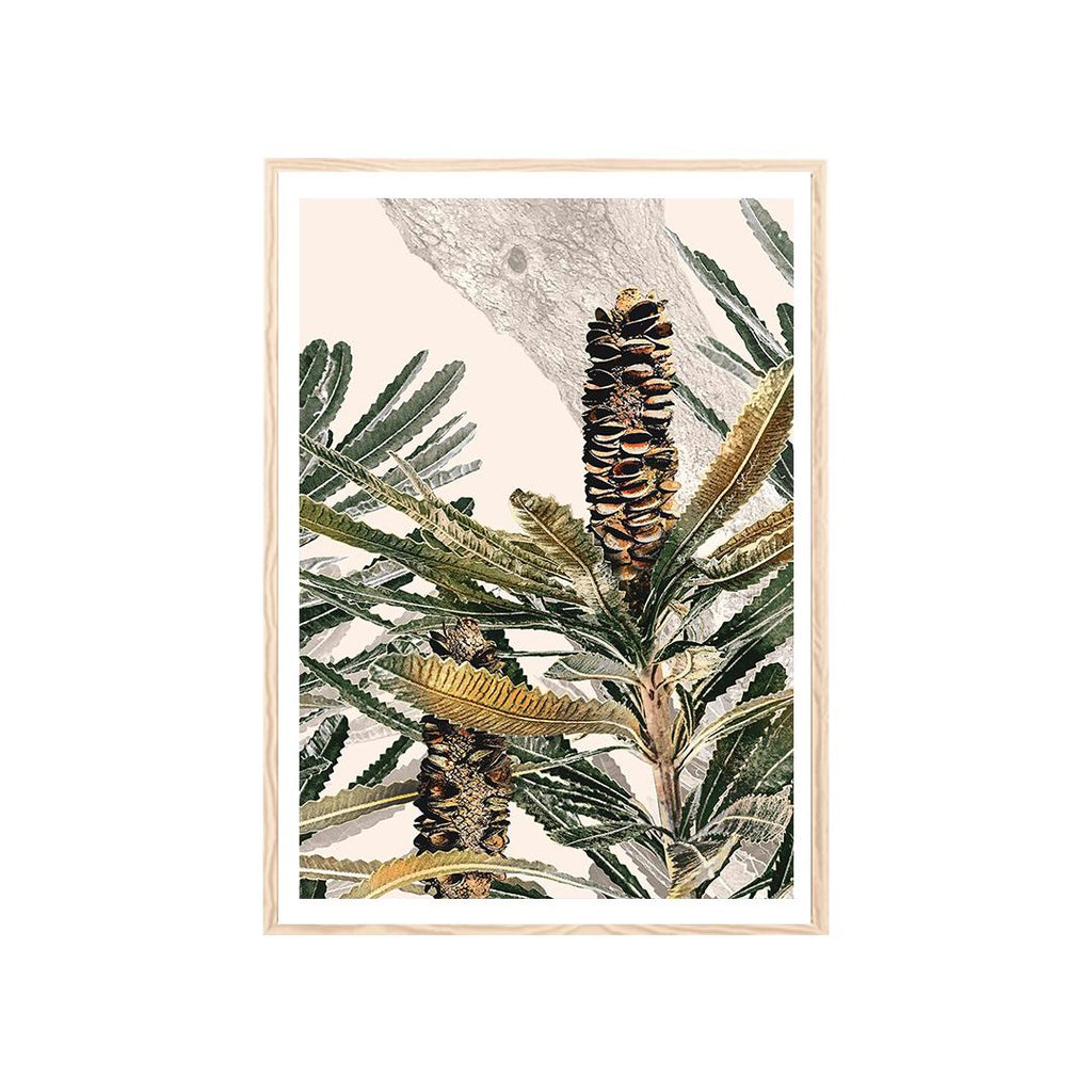 Australian Banksia Botanical Prints – Set of 3 Digital Art Downloads