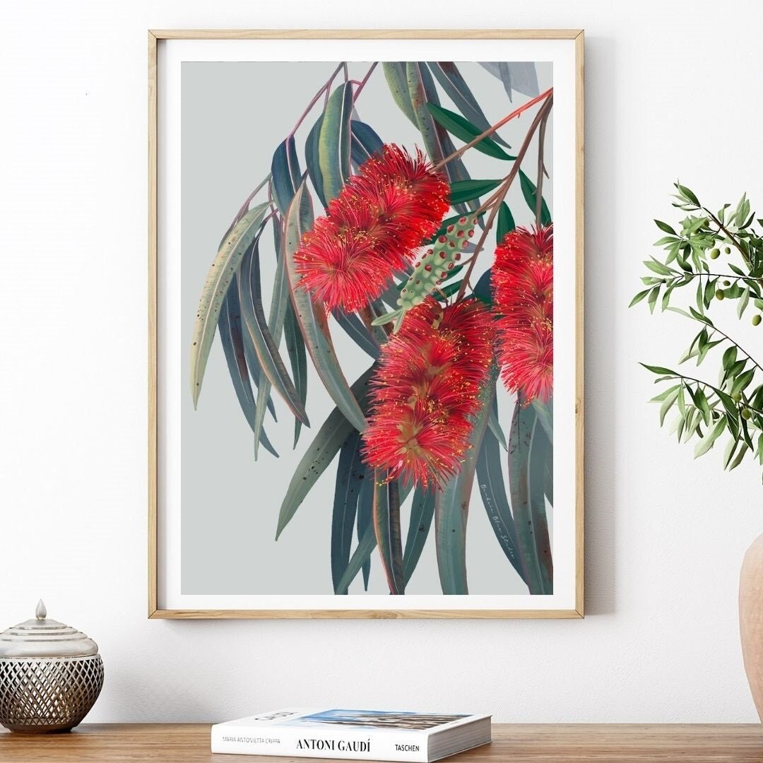 Carinya – Red Flowering Gum Australian Botanical Digital Print