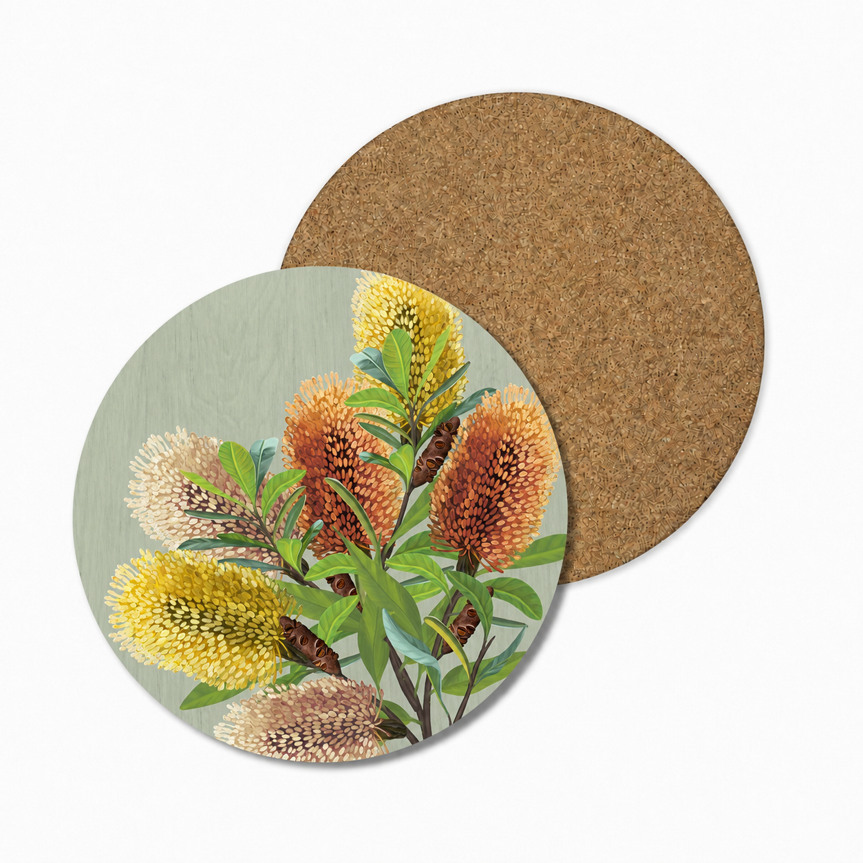Saltbush Australian Banksia Coaster